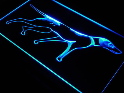 Bird Dog Pet Shop Decor Home Neon Light Sign